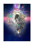 Peacock-Karin Roberts-Framed Stretched Canvas