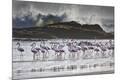Premium Photographic Print