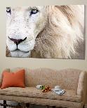 Portrait of Two White Lion Cub Siblings, One Laying Down and One with it's Paw Raised.-Karine Aigner-Photographic Print
