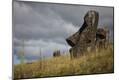 Premium Photographic Print
