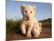 Premium Photographic Print