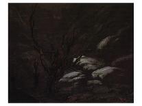 Mountain Gorges in Winter-Karl Blechen-Premium Giclee Print