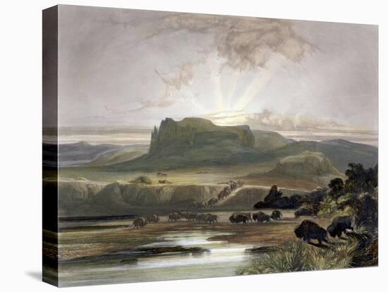 Stretched Canvas Print, , large