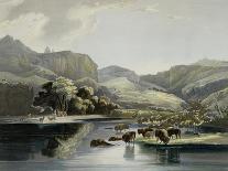 Herds of Bison and Elk on the Upper Missouri-Karl Bodmer-Giclee Print