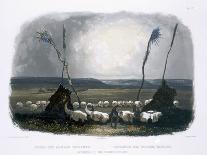 Herd of Bison on the Upper Missouri-Karl Bodmer-Framed Giclee Print