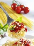 Spaghetti with Tomato Sauce on a Fork-Karl Newedel-Photographic Print