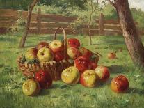 Apple Harvest-Karl Vikas-Framed Premier Image Canvas