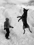 Dog Catching a Snowball-Karl Weatherly-Framed Premier Image Canvas