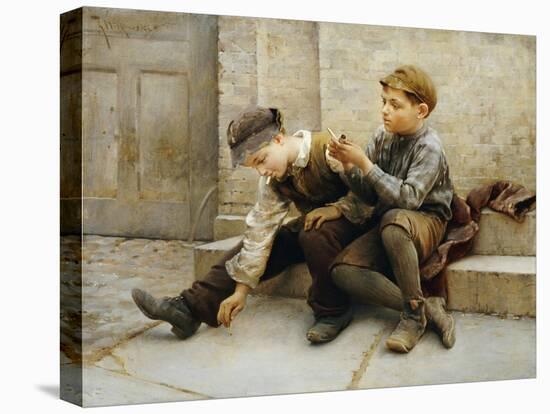 Stretched Canvas Print, , large