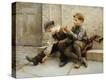 Stretched Canvas Print