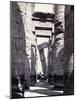 Karnak, Great Hypostyle Hall, 19th Century-Science Source-Mounted Giclee Print