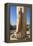 Karnak Temple, UNESCO World Heritage Site, near Luxor, Egypt, North Africa, Africa-Jane Sweeney-Framed Premier Image Canvas