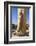 Karnak Temple, UNESCO World Heritage Site, near Luxor, Egypt, North Africa, Africa-Jane Sweeney-Framed Photographic Print