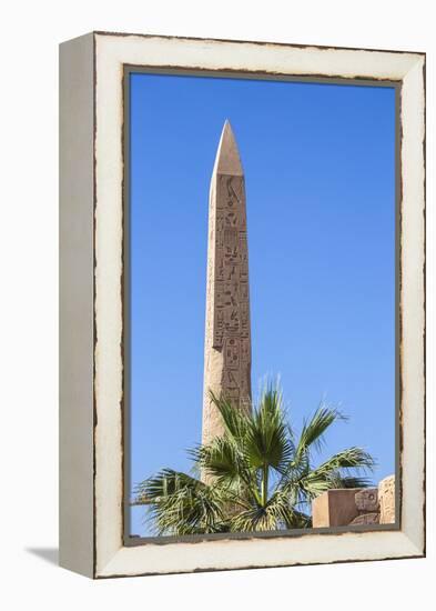 Karnak Temple, UNESCO World Heritage Site, near Luxor, Egypt, North Africa, Africa-Jane Sweeney-Framed Premier Image Canvas