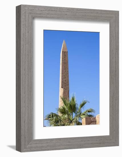 Karnak Temple, UNESCO World Heritage Site, near Luxor, Egypt, North Africa, Africa-Jane Sweeney-Framed Photographic Print