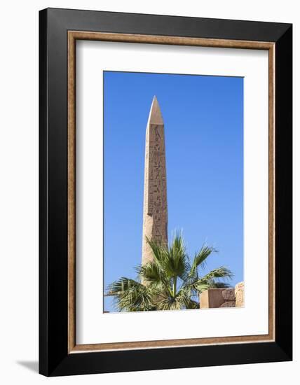 Karnak Temple, UNESCO World Heritage Site, near Luxor, Egypt, North Africa, Africa-Jane Sweeney-Framed Photographic Print