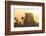 Karnak Temple, UNESCO World Heritage Site, near Luxor, Egypt, North Africa, Africa-Jane Sweeney-Framed Photographic Print