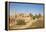 Karnak Temple, UNESCO World Heritage Site, near Luxor, Egypt, North Africa, Africa-Jane Sweeney-Framed Premier Image Canvas