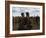 Karo People with Body Painting, Dancing, Lower Omo Valley-Jane Sweeney-Framed Photographic Print