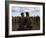 Karo People with Body Painting, Dancing, Lower Omo Valley-Jane Sweeney-Framed Photographic Print