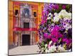 Photographic Print