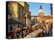 Stretched Canvas Print