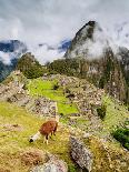 Machu Picchu Ruins, UNESCO World Heritage Site, Cusco Region, Peru, South America-Karol Kozlowski-Photographic Print