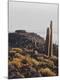 Photographic Print