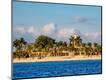 Premium Photographic Print