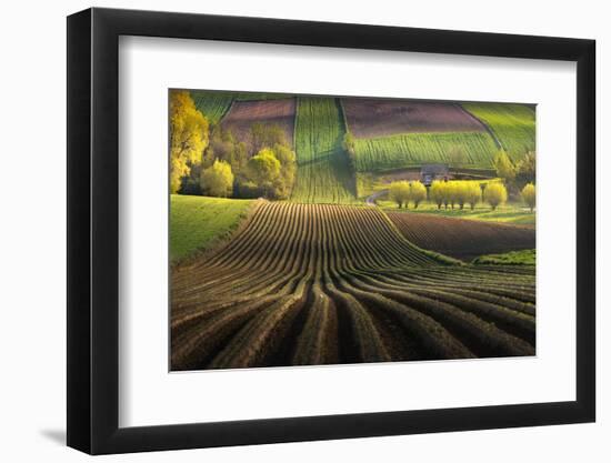 Photographic Print, , large