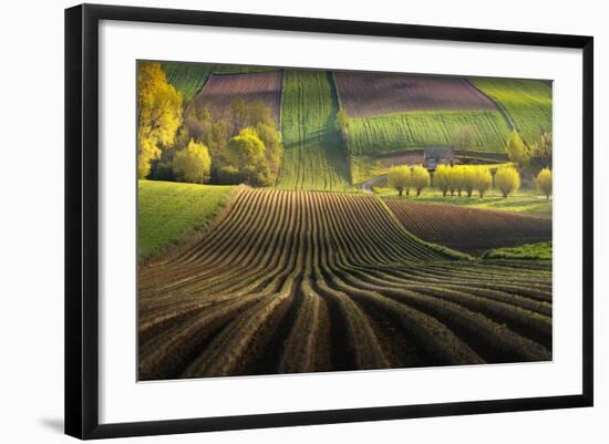 Photographic Print, , large