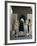 Karouine (Kairaouine) Mosque, Medina, Unesco World Heritage Site, Fez (Fes), Morocco-Sybil Sassoon-Framed Photographic Print