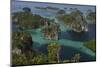 Karst islands in Misool archipelago, Raja Ampat, Western Papua, Indonesian New Guinea-Staffan Widstrand-Mounted Photographic Print