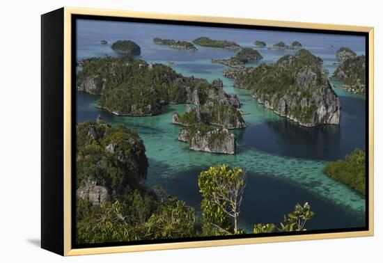 Karst islands in Misool archipelago, Raja Ampat, Western Papua, Indonesian New Guinea-Staffan Widstrand-Framed Premier Image Canvas