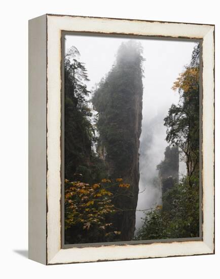 Karst Limestone Rock Formations at Zhangjiajie Forest Park, Wulingyuan Scenic Area, Hunan Province-Christian Kober-Framed Premier Image Canvas