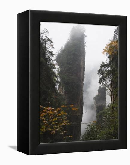 Karst Limestone Rock Formations at Zhangjiajie Forest Park, Wulingyuan Scenic Area, Hunan Province-Christian Kober-Framed Premier Image Canvas