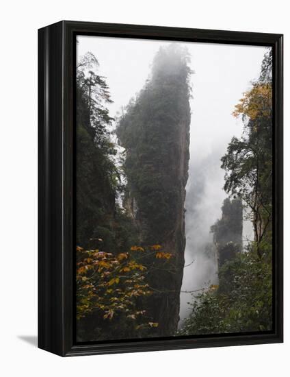 Karst Limestone Rock Formations at Zhangjiajie Forest Park, Wulingyuan Scenic Area, Hunan Province-Christian Kober-Framed Premier Image Canvas