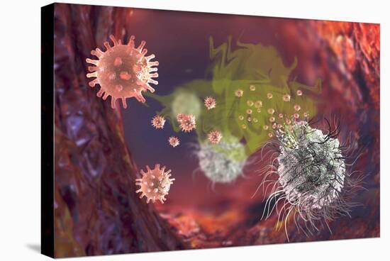 Stretched Canvas Print, , large