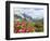 Karwendel Mountain Range, Tyrol, Austria-Martin Zwick-Framed Photographic Print