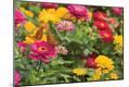 Premium Photographic Print