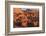 Kasbah Ait Benhaddou-Lee Frost-Framed Photographic Print