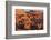 Kasbah Ait Benhaddou-Lee Frost-Framed Photographic Print