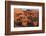 Kasbah Ait Benhaddou-Lee Frost-Framed Photographic Print