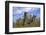 Kasselburg Castle near Pelm, Eifel, Rhineland-Palatinate, Germany, Europe-Hans-Peter Merten-Framed Photographic Print