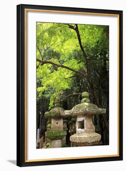 Kasuga-Taisha Shrine-Paul Dymond-Framed Photographic Print