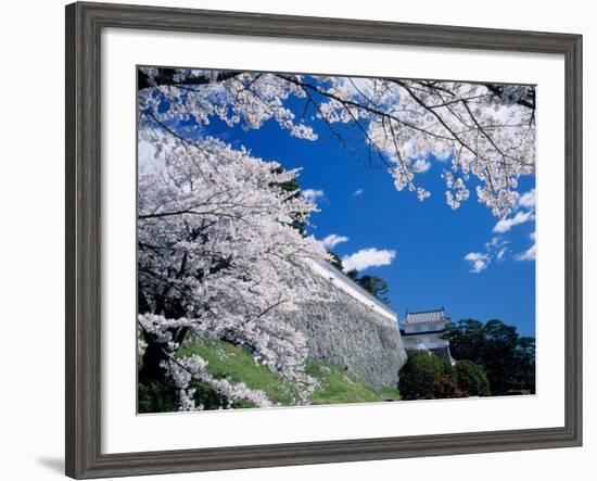 Kasumiga-Jo Castle and Cherry Blossoms-null-Framed Photographic Print