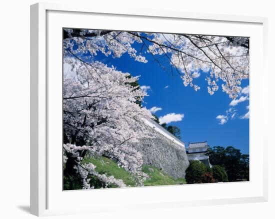 Kasumiga-Jo Castle and Cherry Blossoms-null-Framed Photographic Print