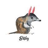 Australian Animals Watercolor Illustration Hand Drawn Wildlife Isolated on a White Background. Bilb-Kat_Branch-Art Print