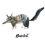 Australian Animals Watercolor Illustration Hand Drawn Wildlife Isolated on a White Background. Womb-Kat_Branch-Art Print