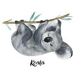 Australian Animals Watercolor Illustration Hand Drawn Wildlife Isolated on a White Background. Koal-Kat_Branch-Art Print